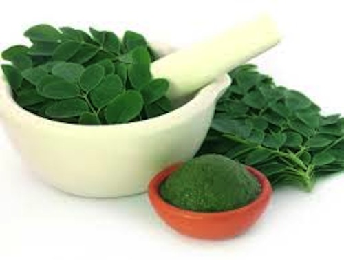 Consumo de la Moringa para adelgazar