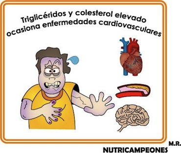 TRIGLICERIDOS AUMENTO trigliceridos aumento: