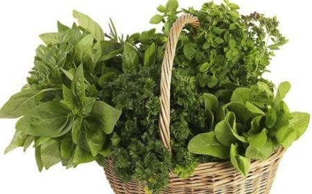 perder 10 kilos en una semana sin pasar hambre perder 10 kilos en una semana sin pasar hambre