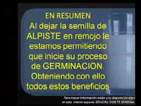 La leche de alpiste sirve para adelgazar